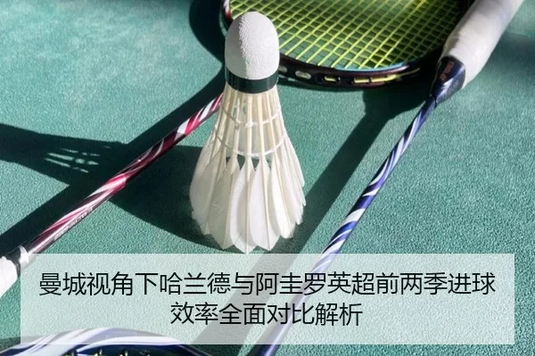 曼城视角下哈兰德与阿圭罗英超前两季进球效率全面对比解析